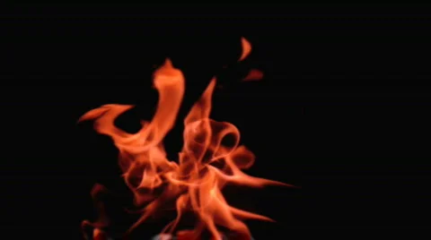 Burning Fire Stock Footage 768990