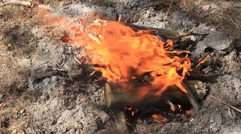 Burning fire Stock Footage 23369190
