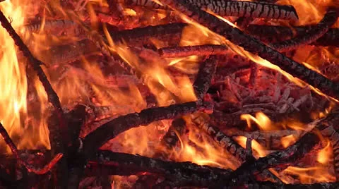 Burning fire Stock Footage 24170044
