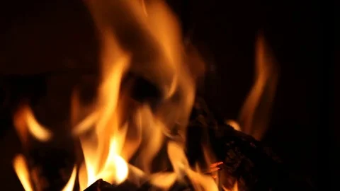 Burning fire. Stock Footage 77377221