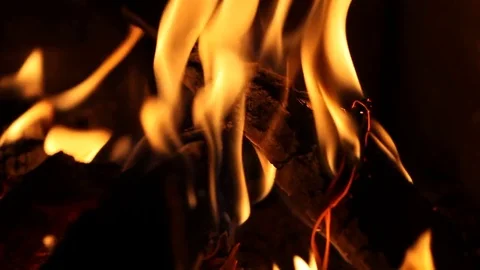 Burning fire Stock Footage 77377589