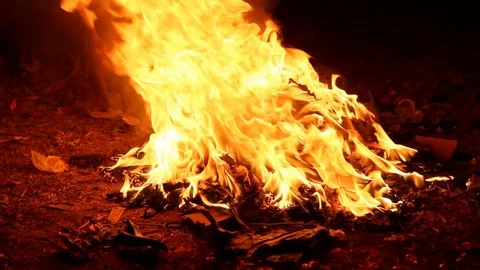 Burning fire Stock Footage 100639251