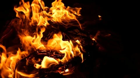 Burning fire Stock-Footage 118645975