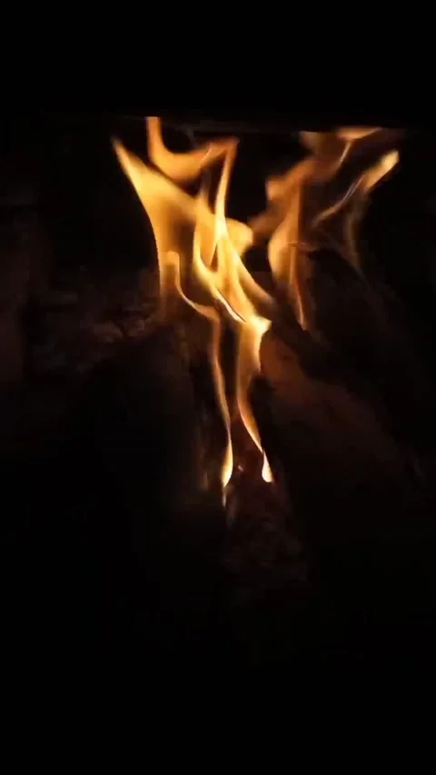 Burning fire Stock Footage 229753671