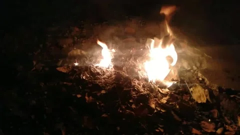 Burning fire Stock Footage 237016466