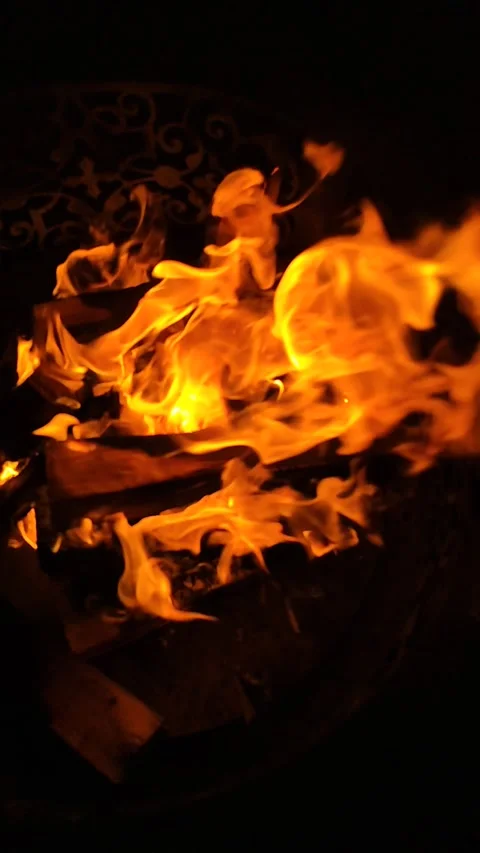 Burning Fire Stock Footage 246211993