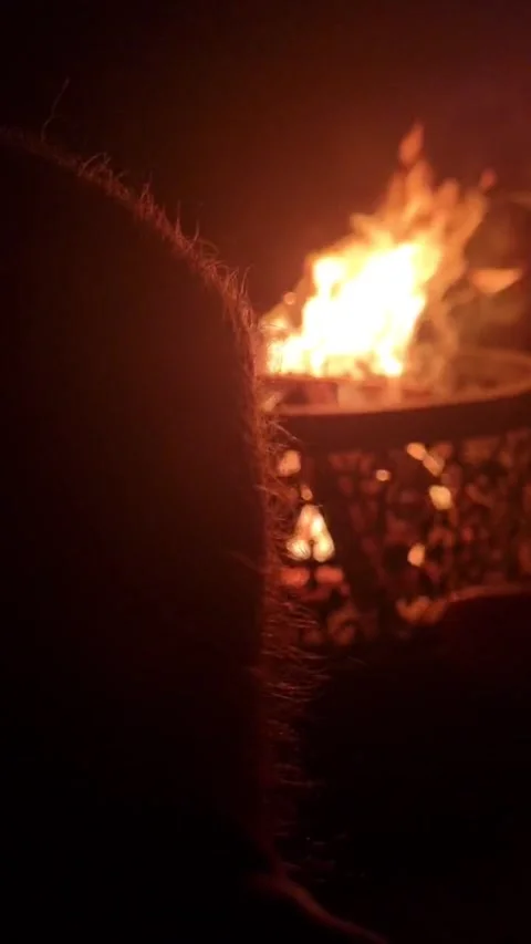 Burning Fire Stock Footage 246211995