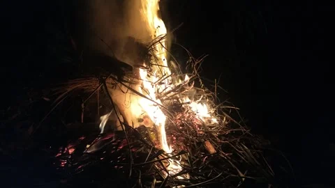 Burning fire Video stock 289250892