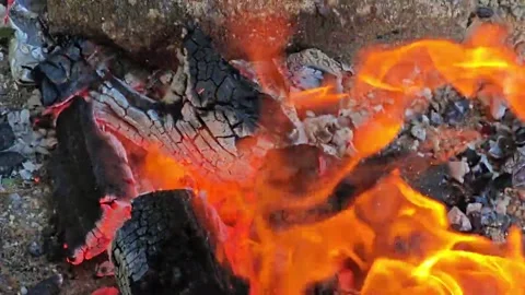 Burning fire Stock Footage 316734790