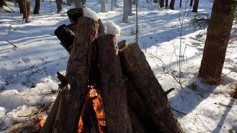 The Burning a fire in the forest close up.Fire in the forest. Big bonfire. Stock Footage 104973727