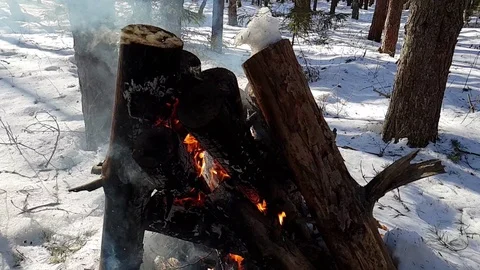 The Burning a fire in the forest close up. Fire in the forest. Big bonfire. Stock Footage 104975509