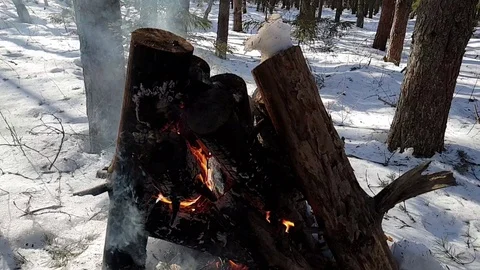 The Burning a fire in the forest close up. Fire in the forest. Big bonfire. Stock Footage 104975650