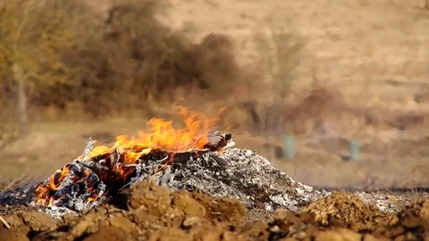 Burning fire in the garden Stock Footage 75455458