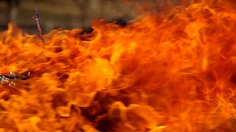 Burning fire in the garden Stock Footage 75455522