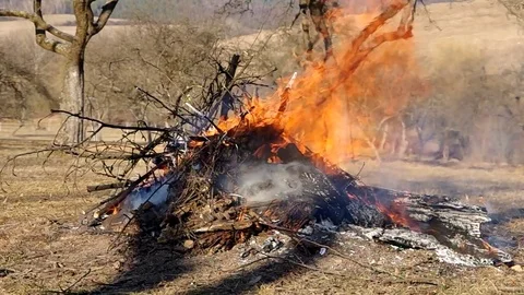 Burning fire in the garden Stock Footage 75455599