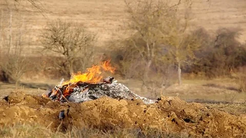 Burning fire in the garden Stock Footage 75940732
