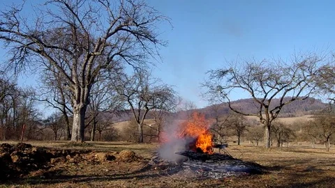 Burning fire in the garden Stock-Footage 75940755