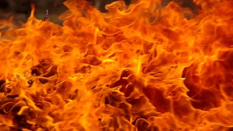 Burning fire in the garden Stock Footage 75940856