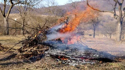 Burning fire in the garden Stock Footage 75940939