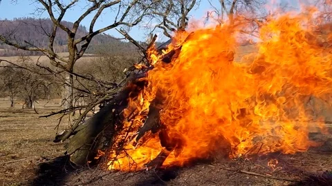 Burning fire in the garden Stock Footage 77245189