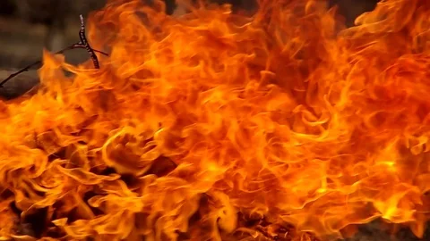 Burning fire in the garden Stock-Footage 77245426