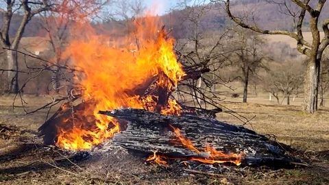 Burning fire in the garden Stock Footage 77246048