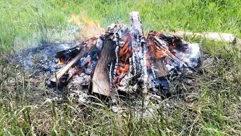 Burning fire on green grass 스톡 동영상 205871122