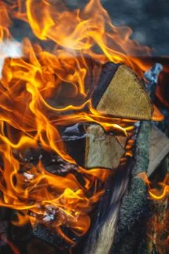 Burning fire in the grill with logs. Close-up. Concept of forest fire, ecolog Stock Photos