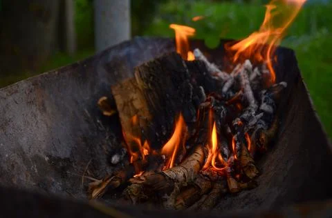 Burning fire in the grill Stock Photos