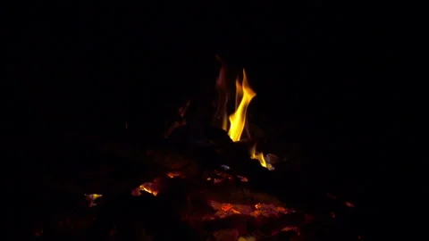 Burning fire on hot bonfire charks, 8x 240 fps slow motion Stock Footage 86282862
