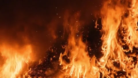 Burning fire at the land Stock Footage 285128436