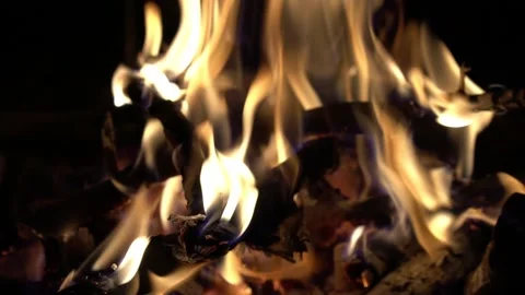 Burning fire with logs in flame Stock Footage 131731998