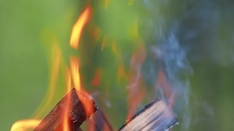 Burning fire, many dangerous flames Camp fire with tree wood Stock Footage 141252686