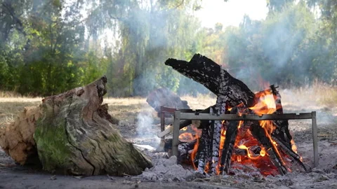 A burning fire next to a tree stump. Stock Footage 252493547