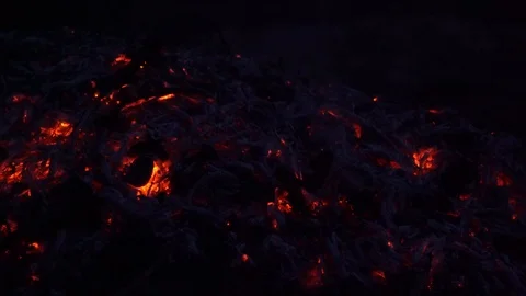 Burning fire, night bonfire, flames, coals background Stock Footage 89322520