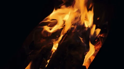 Burning fire. Night bonfire flames. Closeup of burning logs in the grill Stock Footage 140203718