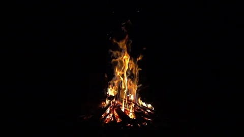 Burning fire at night, campfire bonfire 240 fps (8x) slow motion Stock Footage 84161605