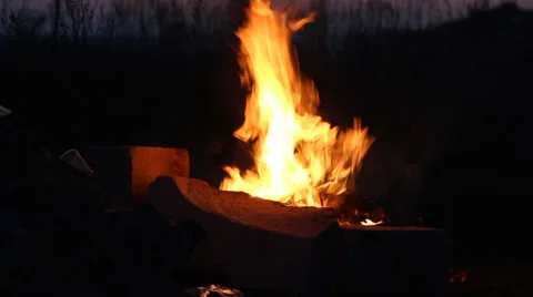 Burning fire in the night Stock Footage 33801292