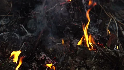 Burning fire in the night. Slow motion Stock Footage 89457705