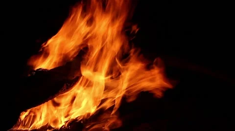 Burning fire, night time Stock Footage 52308164