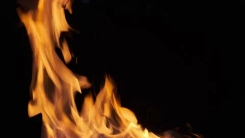 Burning fire at night. Warm bonfire flames. Close up of burning logs Stock Footage 140208070