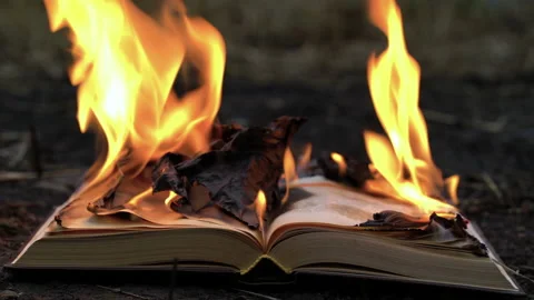 Burning in fire old open book on the ground. Stock Footage 210840237