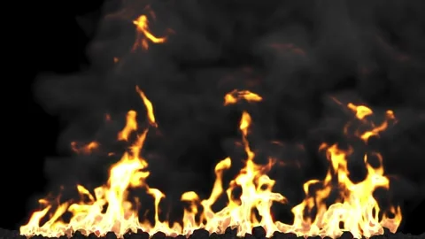 Burning fire or fireplace on coals on black background. Stock Footage 317607125