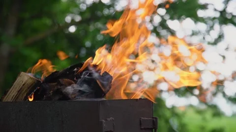 Burning fire of orange colour over woods in grill closeup Video stock 135296839
