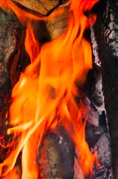 Burning fire Stock-Fotos