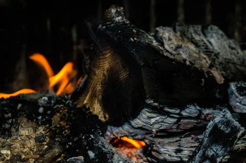 Burning fire 写真素材