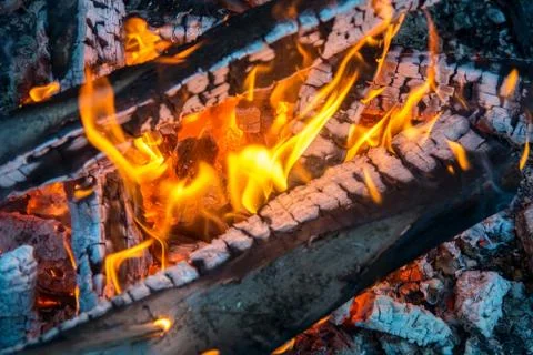 Burning fire Stock Photos