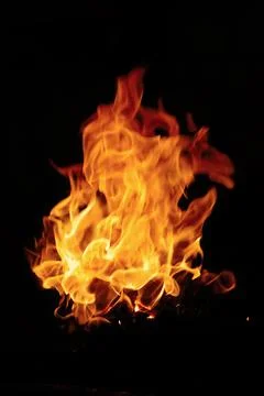 Burning fire Stock Photos