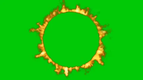 Burning fire ring circle loop animation on green screen background. Stock Footage 340994935