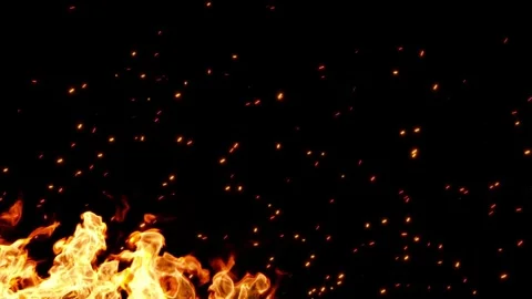 Burning fire rising with sparks flying movement on black backgrounds render.. Stock Footage 336008246